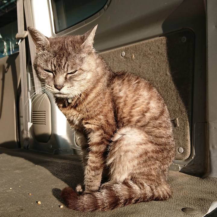 1808b826 1f07 48d7 be7b a27d22733529 1568411887859