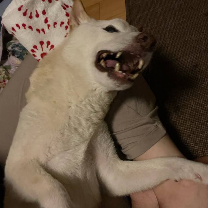 1808c2bf 1250 435e 8a9d f6181c3c84ff 1666634582267