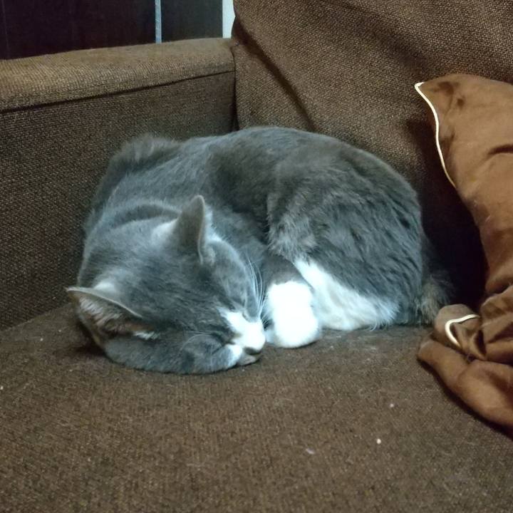 1808e594 c146 4326 860d 21122580ee8d 1642942091264