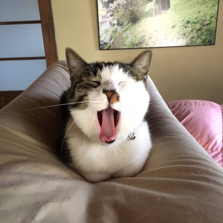 18092254 a8dd 4a7c 979e 1c5547eead8e 1540807731150