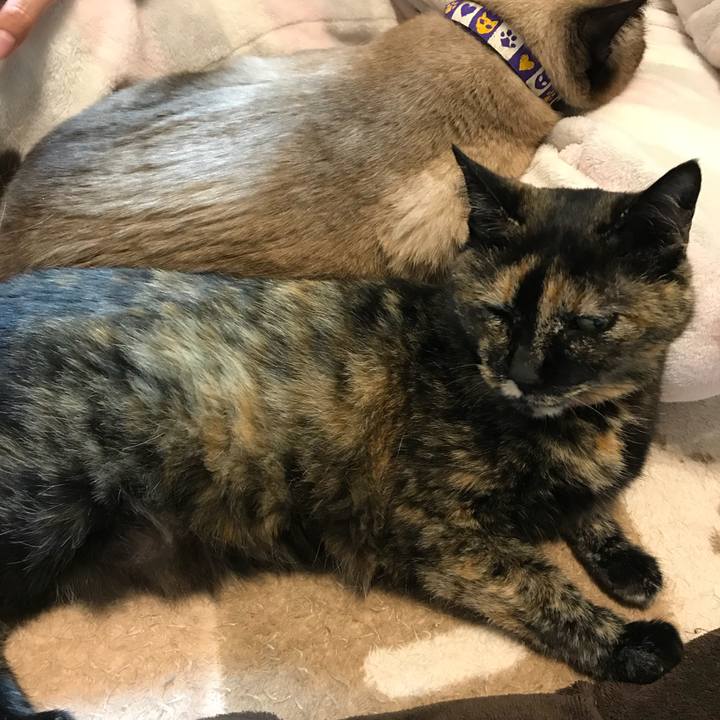 18095db9 2ab2 4b5f a4f3 76bd83e9230b 1525862705422