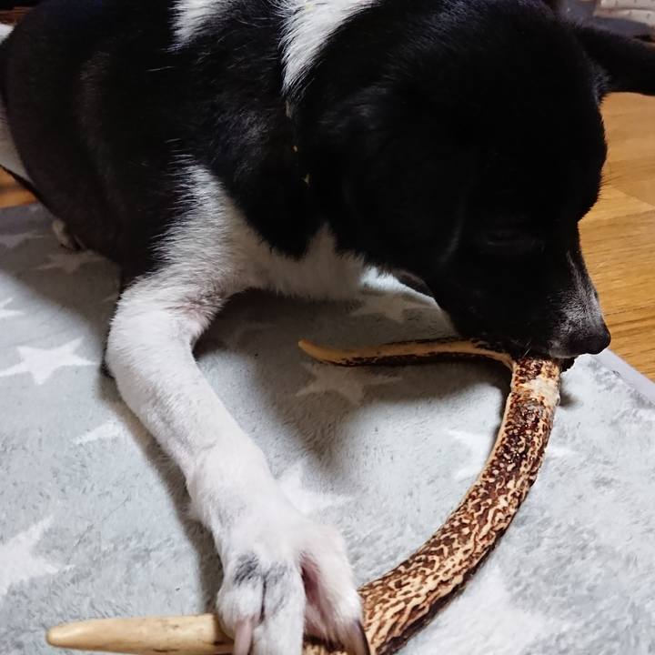 1809656c 9442 47f6 ac91 b5abcea74a58 1530711582388