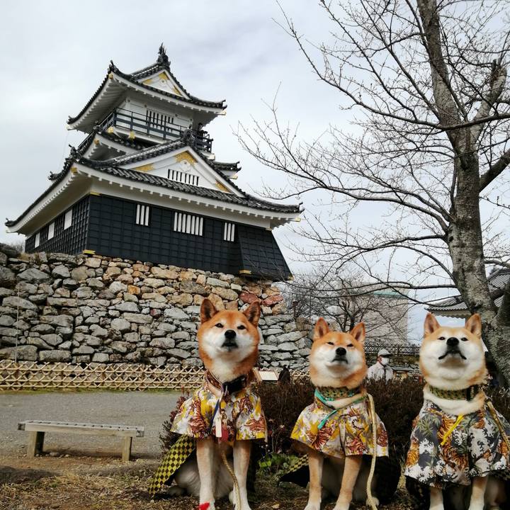 18096763 b29b 41f9 9d35 637337649f0d 1678864161808