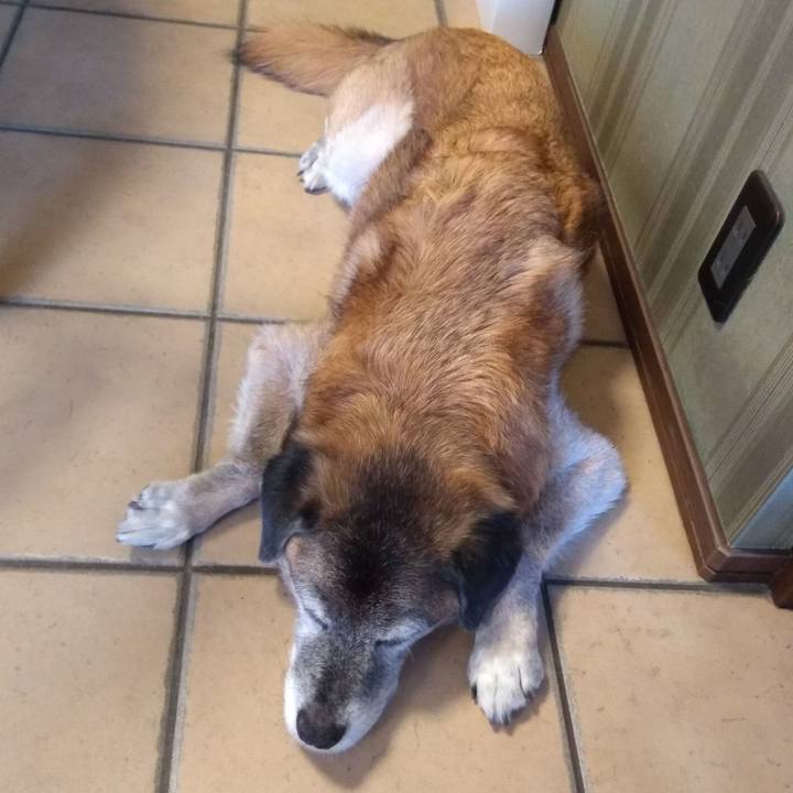 180989cd 147f 4639 859c 73909785ede3 1568163349269