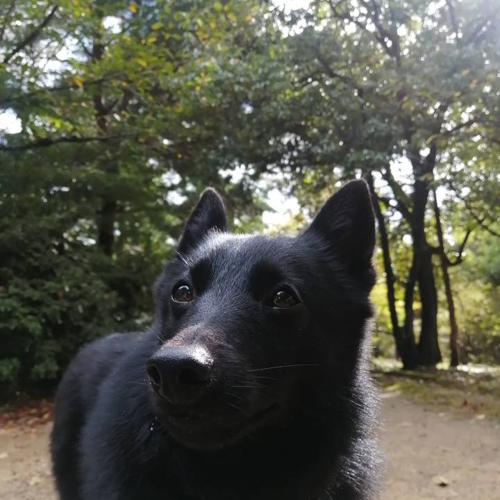 18099dc7 ced4 40c1 9971 21e750ae021c 1634429770453