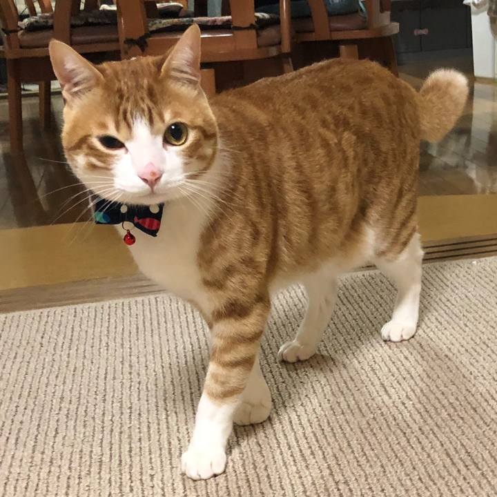 1809a180 b451 47d4 b42d 98c8474b8282 1519040168214