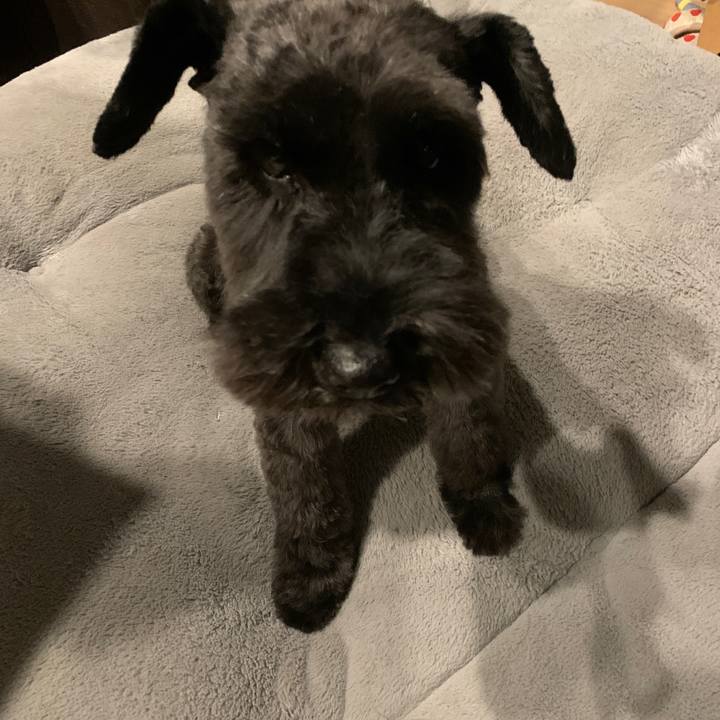 1809f1fd 69fa 4b87 ace6 97c550005a68 1676708126230