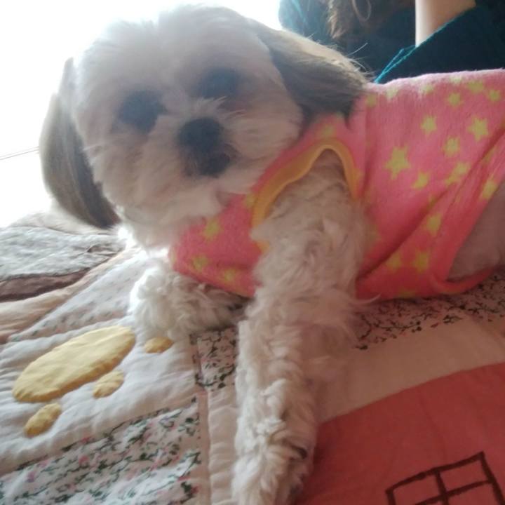 1809f9e3 d06d 4741 9294 f3b81b68de36 1517635981948