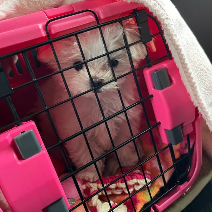 180a4b43 9c9f 4cf6 9e10 f9b8c772b6e2 1701333817657