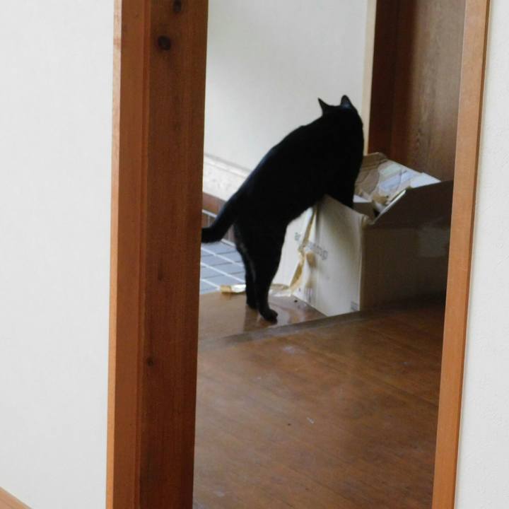 180a508e c3d3 416c 8e73 518d6d96f17f 1570016249404