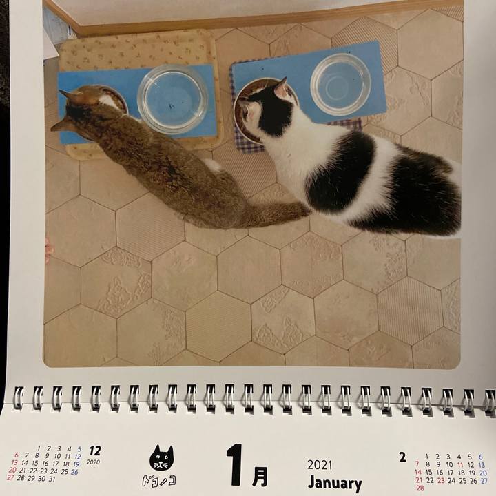 180a5342 6cfe 46d0 8b16 9d21657d9f93 1609504003094