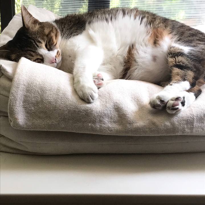 180a619c a4ae 49af 8c9e cc2e5fb42967 1592392898627