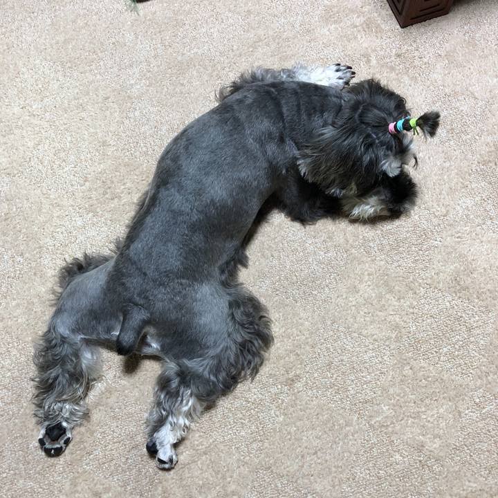 180a65d5 2e2f 4eda 8470 d3a40ec2dd03 1538886249135