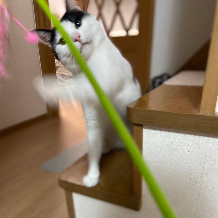 180a66d1 f01c 4b2e a1c6 7cd8b6b41363 1583668599118