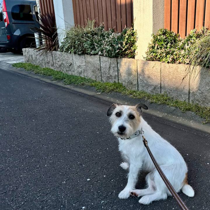 180a9009 1f27 4f8a b691 b6c01e41cc69 1756014156540