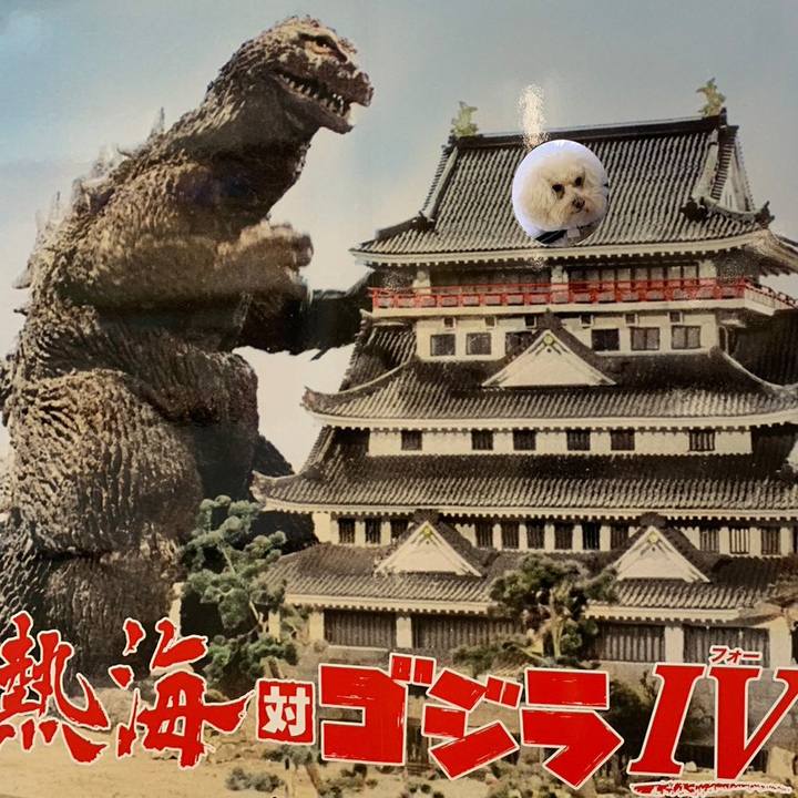 180aa663 aed2 4e3b 9f78 865c92d6912c 1675163840021