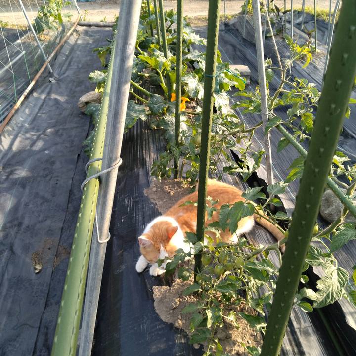 180ac060 ed5b 4be1 ae42 bcf8ac1baa3a 1749246610169