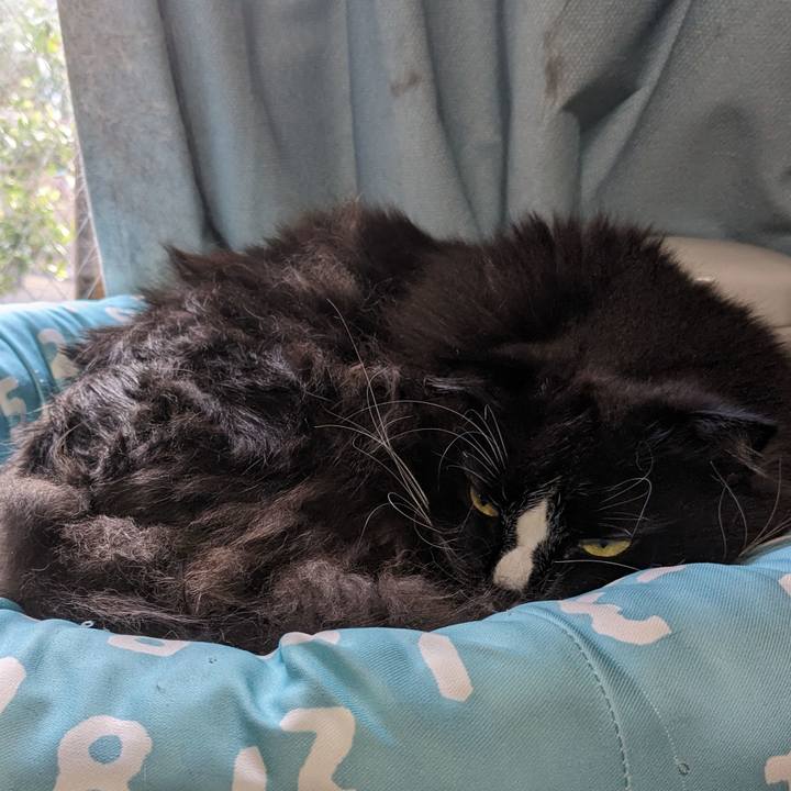 180ac421 1da4 4723 9b3c 3a1f5f037ca0 1712477615874