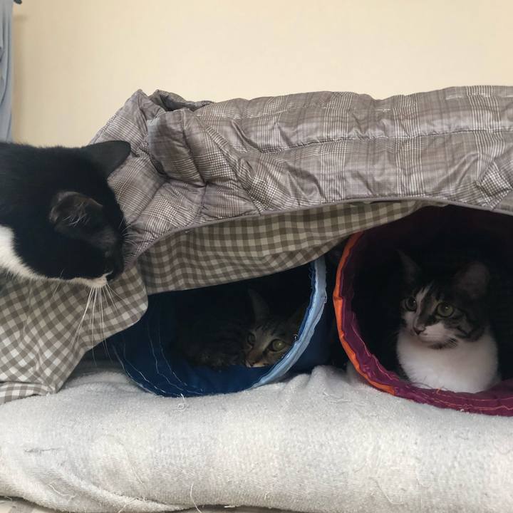 180af388 b0ef 425a 939c c397555107a8 1554900787621