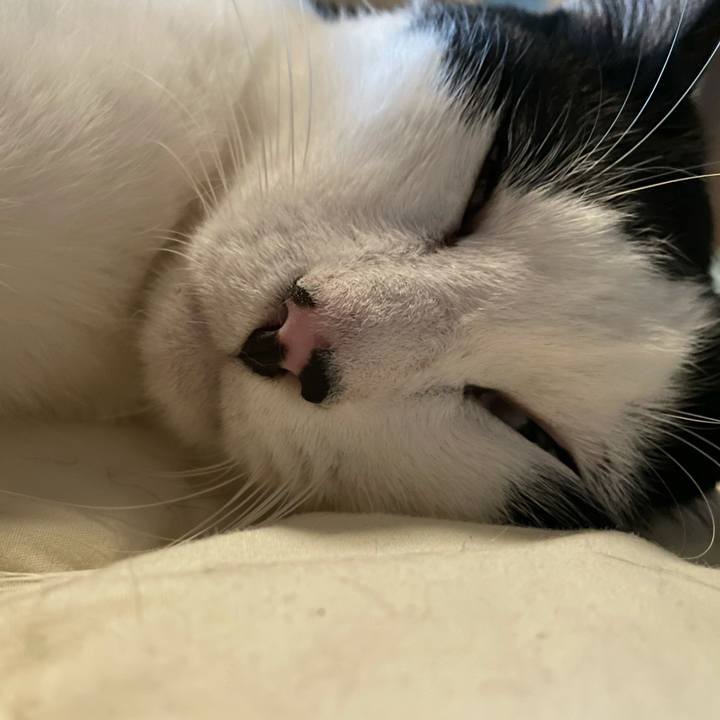 180b13bc e8b7 426d 90da 12e3fc8da0d2 1624823349070