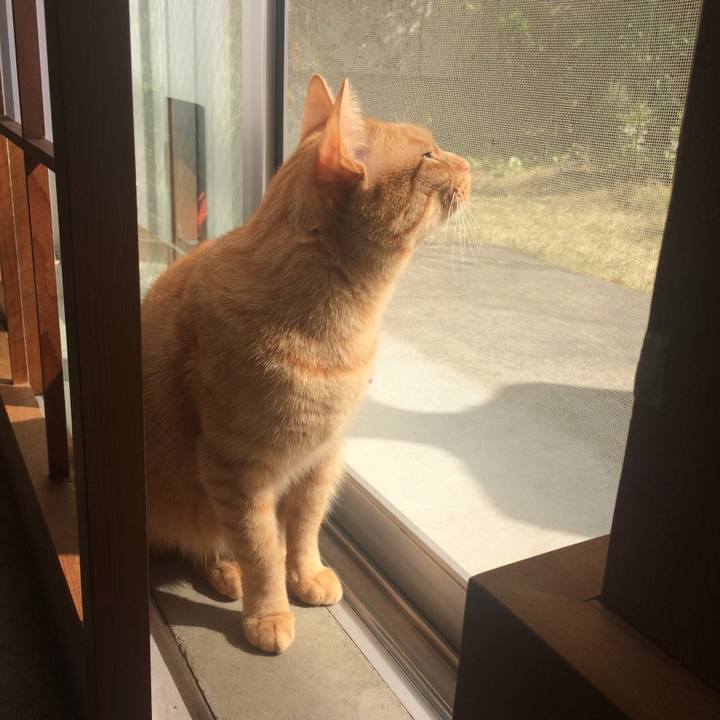 180b1bcc 0ad1 4348 a1ce ca2b48342117 1522239511343