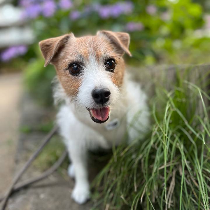 180b2151 0ca7 4430 9b94 a8ded0280117 1717854441018