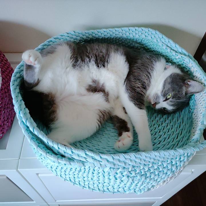 180b2a20 fcfd 4336 9f9e abfc9be8943a 1724328454927