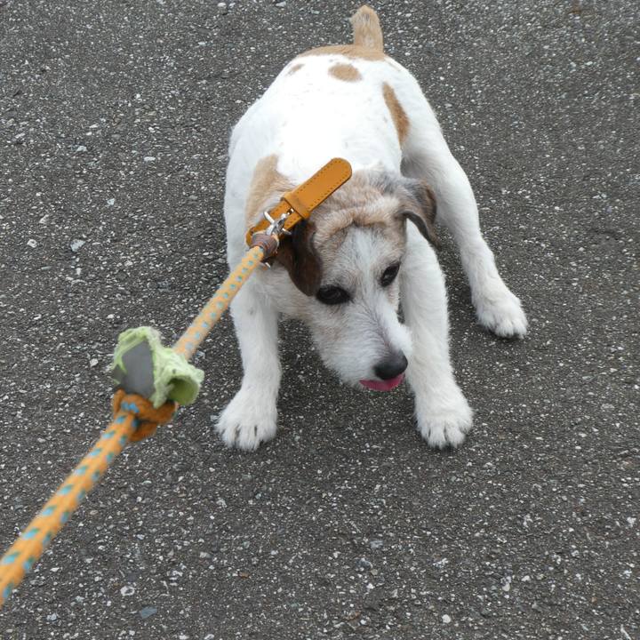 180b2c8c 01f1 46c0 8c3f deed08b63cfc 1589800356201