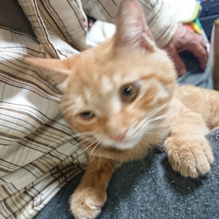 180b65e2 3b38 4d5c b20f 74406e4715fb 1634896350809