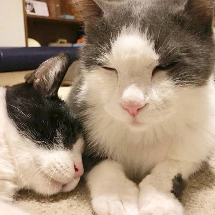 180b6f6b bc6f 44d7 a0ec 9be243269c62 1764490125868