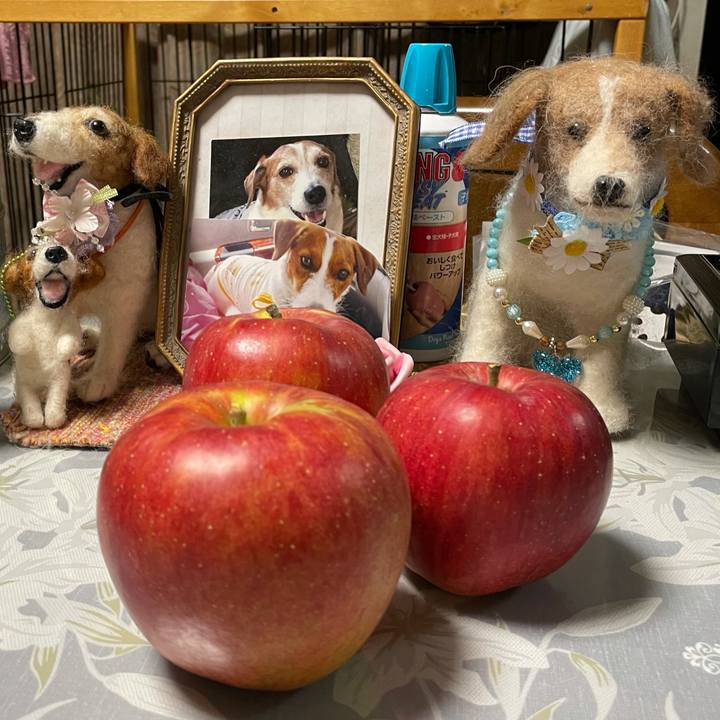 180b8d4f d770 4503 8876 6b12745fa570 1634724911137