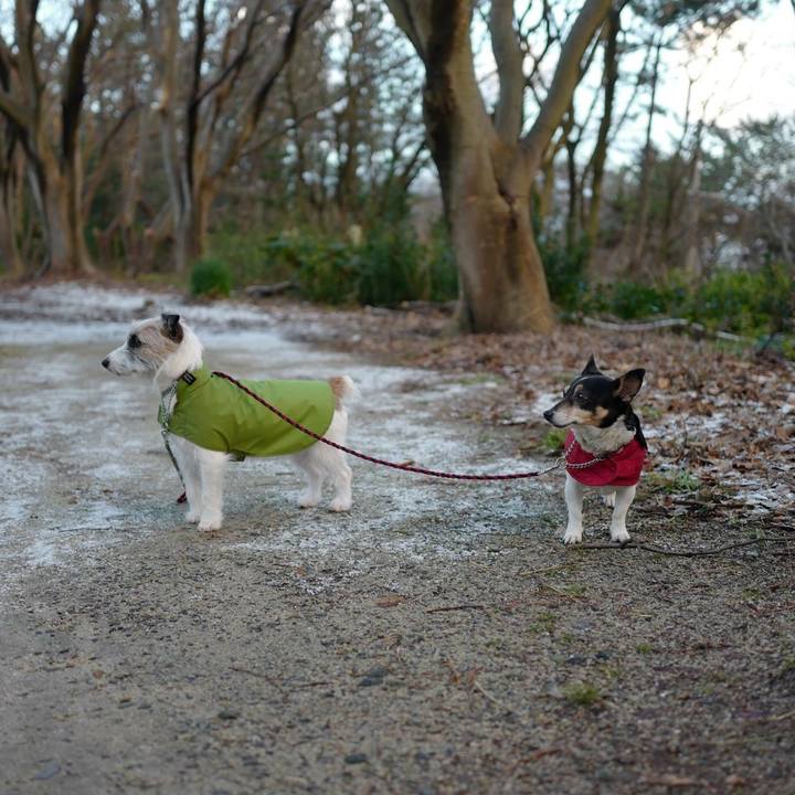 180ba06f cf63 4dd0 b08f 36d7cbf5b4f9 1514436738563