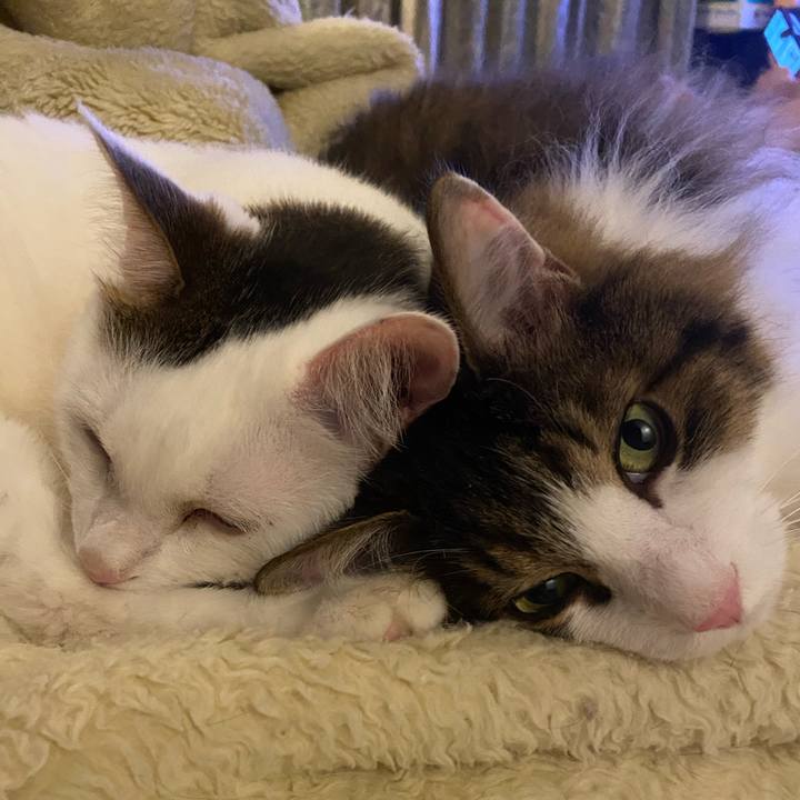 180ba39c de95 4b53 bb29 6be59071b99a 1690934082572