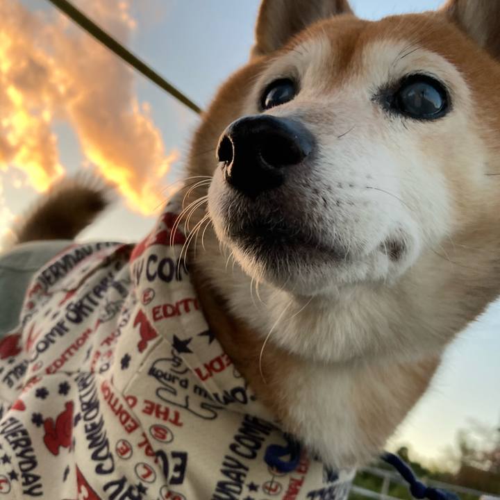 180ba8d0 c272 49fb 9e1c 1ac5d8c47c90 1701936590781