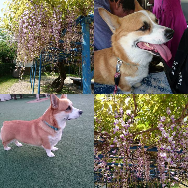 180bcda2 b615 4207 9726 75ebd9ddc23b 1618882887887