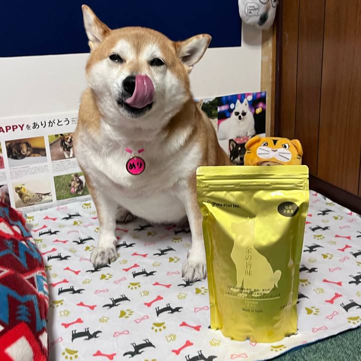 180bd644 4040 4611 b912 9cc2de0a16ad 1669082601354