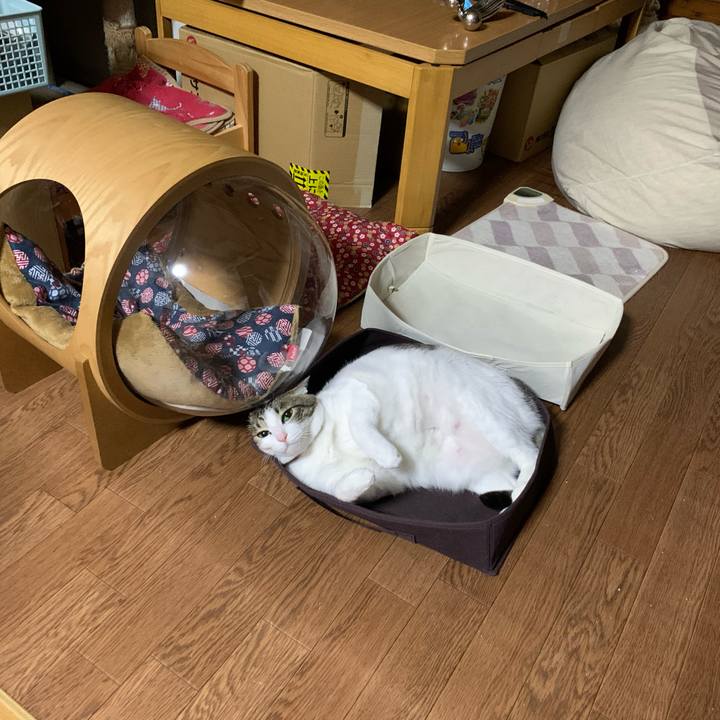 180be0bd 6507 4eb9 886d 71dd867e41f8 1614606858109