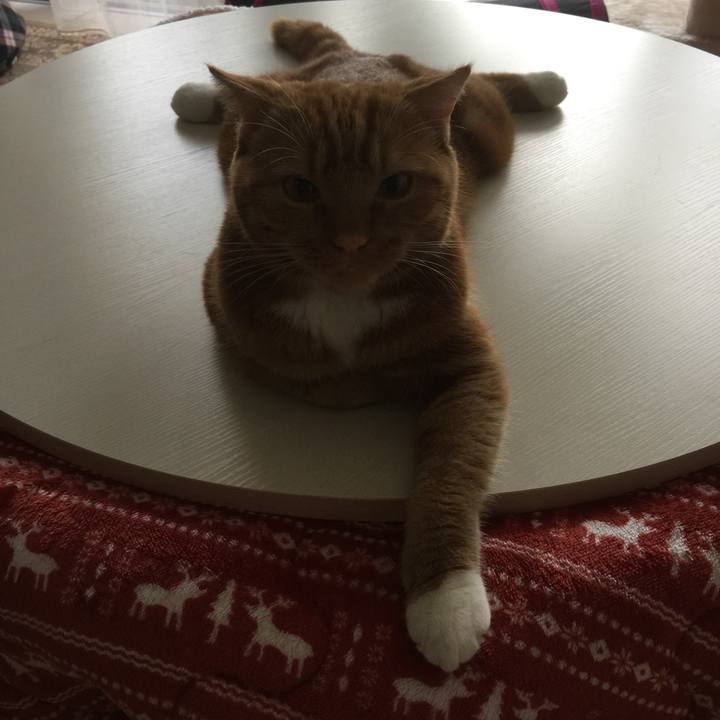 180bf43f c74a 4f5c 98d4 cc401e0b46bc 1528668193176