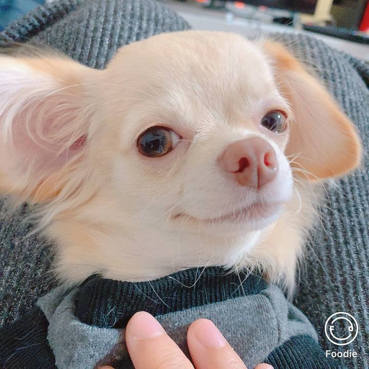 180bf778 68e3 440f 95e3 1b665efd5ec0 1602793394740