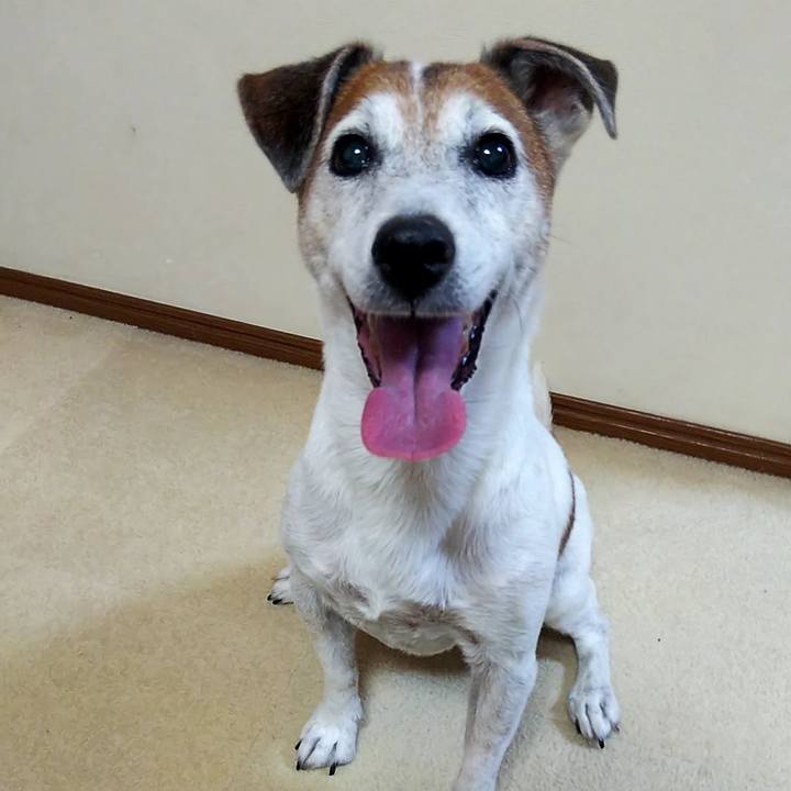 180bf7d6 9348 4597 bbd9 b78bff49e610 1538574441791