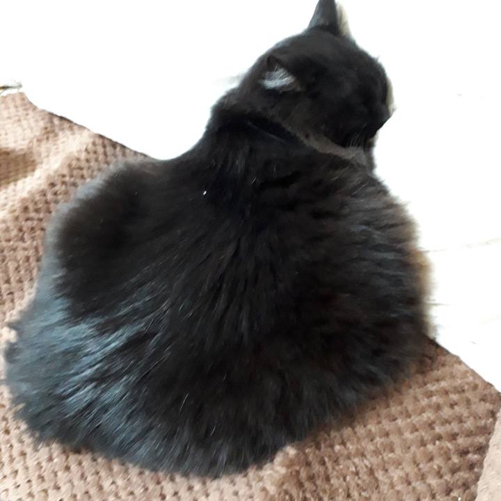 180c00af 033b 4502 8240 e845dbad36e0 1518356691112