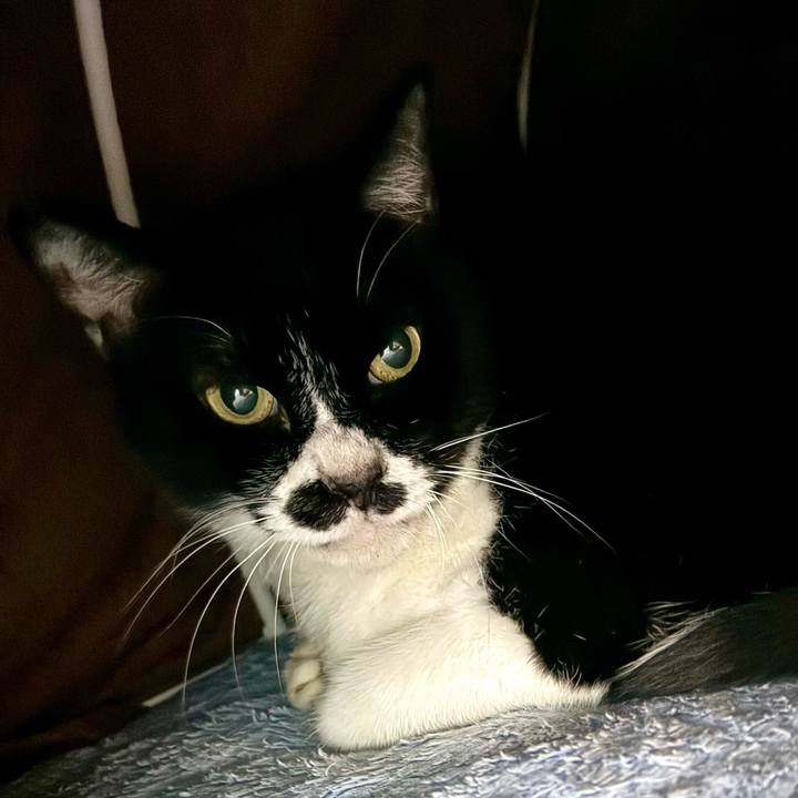 180c1067 0293 4581 9f98 0546c313086d 1739407056549