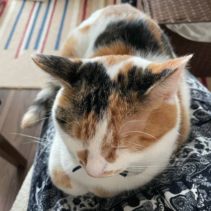 180c2cbf 3653 4842 b19a 7b9b24492bc8 1665370327254