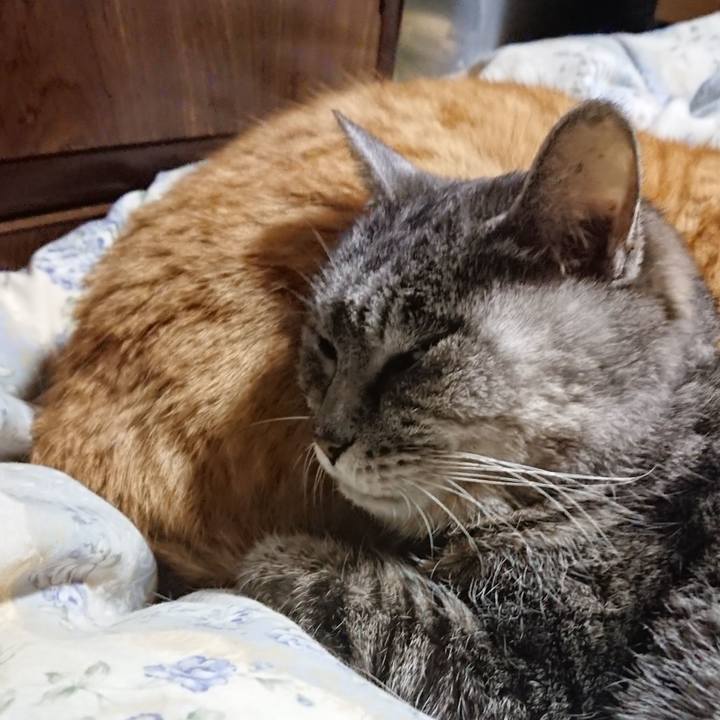 180c361b b5ca 4cdd b0d7 50bfe2b45267 1582722076929