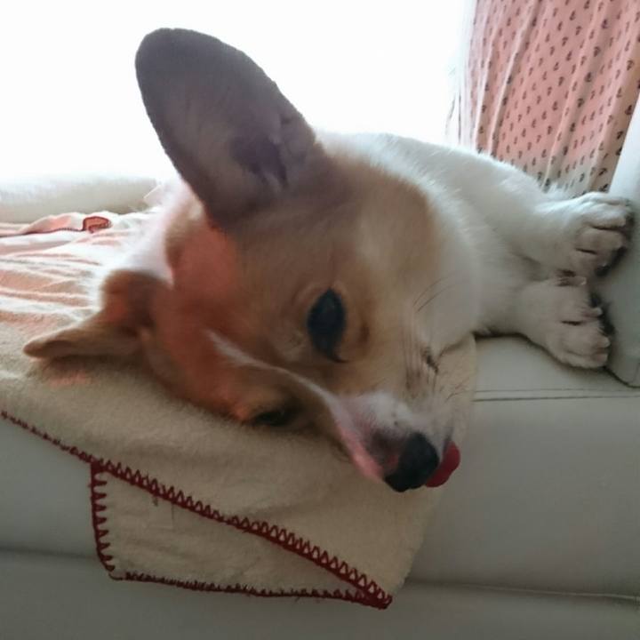 180c375c fb2d 4244 95ff 5720fce080db 1508646842175