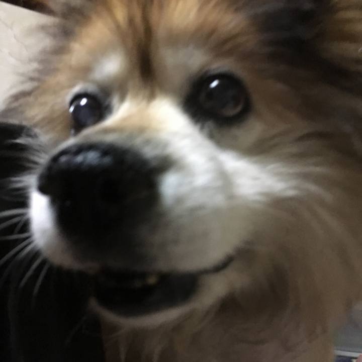 180c4a04 c17b 4c7a 83e0 16461890ff7b 1633603280248