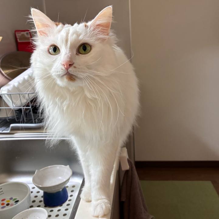 180c6143 5cf7 4d5d bbb6 b2cfaf75cb11 1774753939224