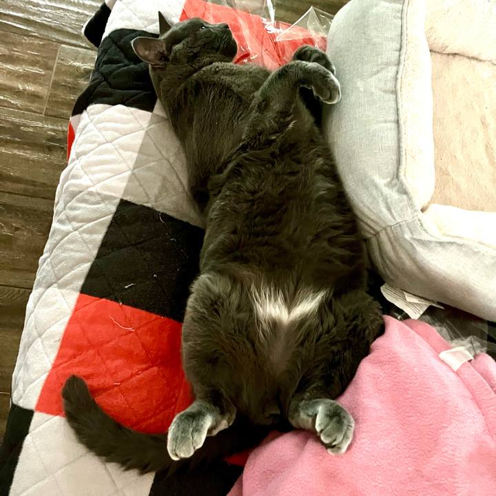 180cf4f2 2051 4df4 a07e 229f813a4f9c 1696369931099