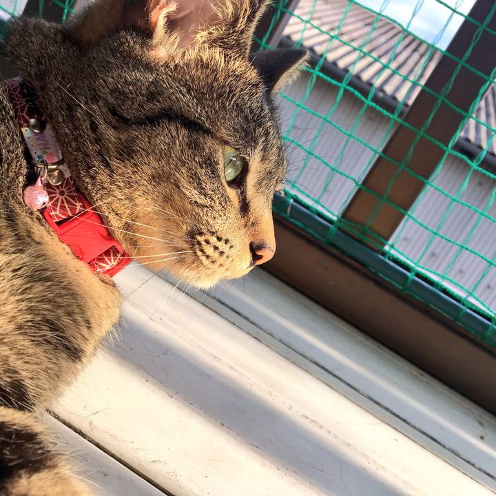 180d216f de88 442b 9633 ed0fd56ae810 1541576381694