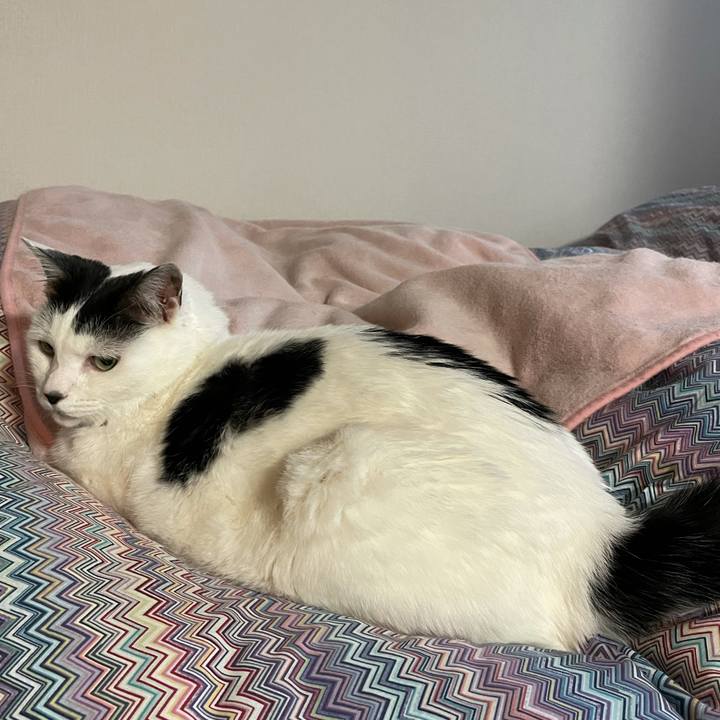 180d3825 3b00 4edb b74a 5fc11cda6af8 1610667081976